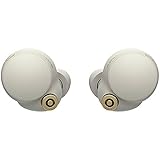 Sony WF-1000XM4 Industry Leading Noise Canceling Truly Wireless Earbud Headphones with Alexa Built-in, Silver