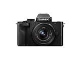 Panasonic LUMIX G100 4k Mirrorless Camera for Photo and Video, Built-in Microphone with Tracking, Micro Four Thirds Interchangeable Lens System, 12-32mm Lens, 5-Axis Hybrid I.S., DC-G100KK (Black)