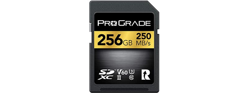 prograde digital store sd uhs-ii card v60