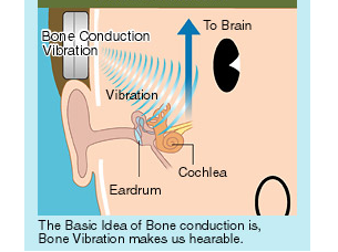 bone conduction hearing process