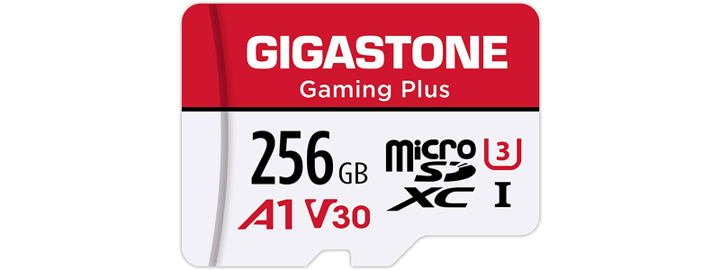 gigastone 256gb micro sd card