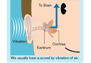 normal hearing process